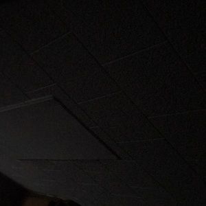 Meet your Posher, Josie